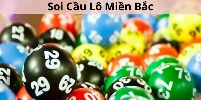 Khai-niem-soi-cau-lo-mien-Bac